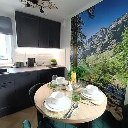 דירה Sky View Apartment Bialy Dunajec, Panorama Tatr, Parking ביאלי דונאייק