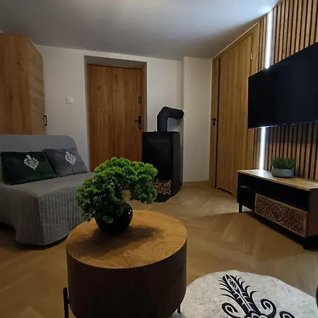 Sky View Apartment Bialy Dunajec, Panorama Tatr, Parking * ביאלי דונאייק