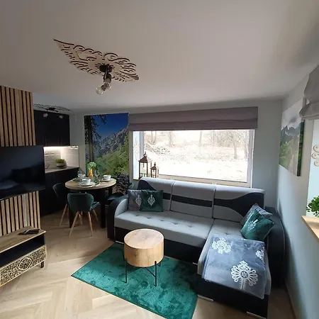 דירה Sky View Apartment Bialy Dunajec, Panorama Tatr, Parking ביאלי דונאייק