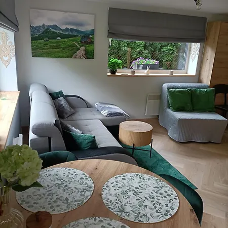 Sky View Bialy Dunajec, Panorama Tatr, Jacuzzi, Sauna, Parking Apartmán *
